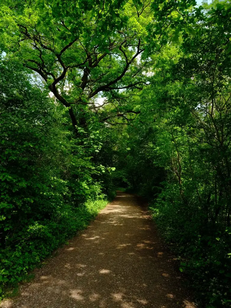 Natur